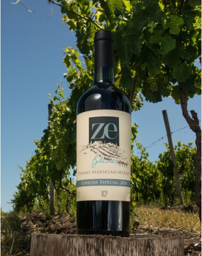 Blend (Tannat, Marselan, Merlot)
